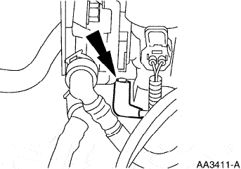 Purga del Canister
