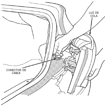 Conector de cable de luz de cola